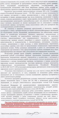 Россия окончательно встала с колен: в РФ вводят уголовную ответственность за сбор дров в лесу