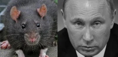 Как Путин с жидами, бандитами и чекистами торговлю наркотиками в России организовал