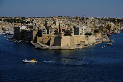 Российские олигархи массово покупают Мальтийское Гражданство