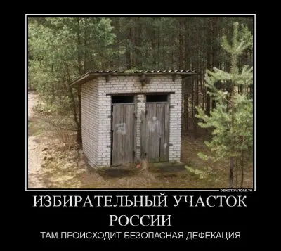 Я наблюдал за выборами.