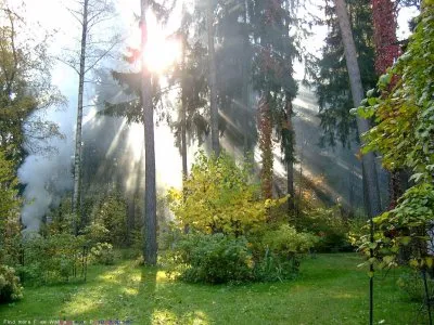 Родная природа - настоящий храм