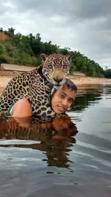 Ягуар тонул в потоке воды, внезапно он увидел рядом человека