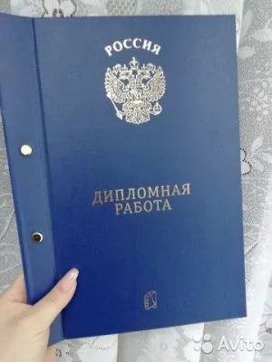 Как быстро и легко написать дипломную работу