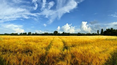 К справедливому мироустройству - через кооперацию К справедливому мироустройству - через кооперацию