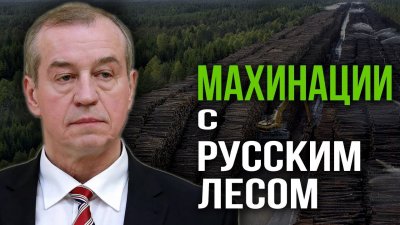 Махинации с русским лесом Махинации с русским лесом