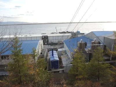 РЫБНЫЙ ВОПРОС ГЛАЗАМИ РЫБОЛОВОВ И РЫБОЕДОВ. Часть первая: Кому достаются богатства Амура?