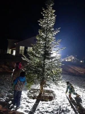 ВЕСЕЛЫЙ ВИХРЬ С СЕРДЕЧНЫМ БРАТАНИЕМ