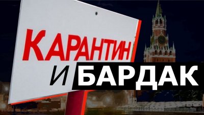 Карантин и бардак Карантин и бардак