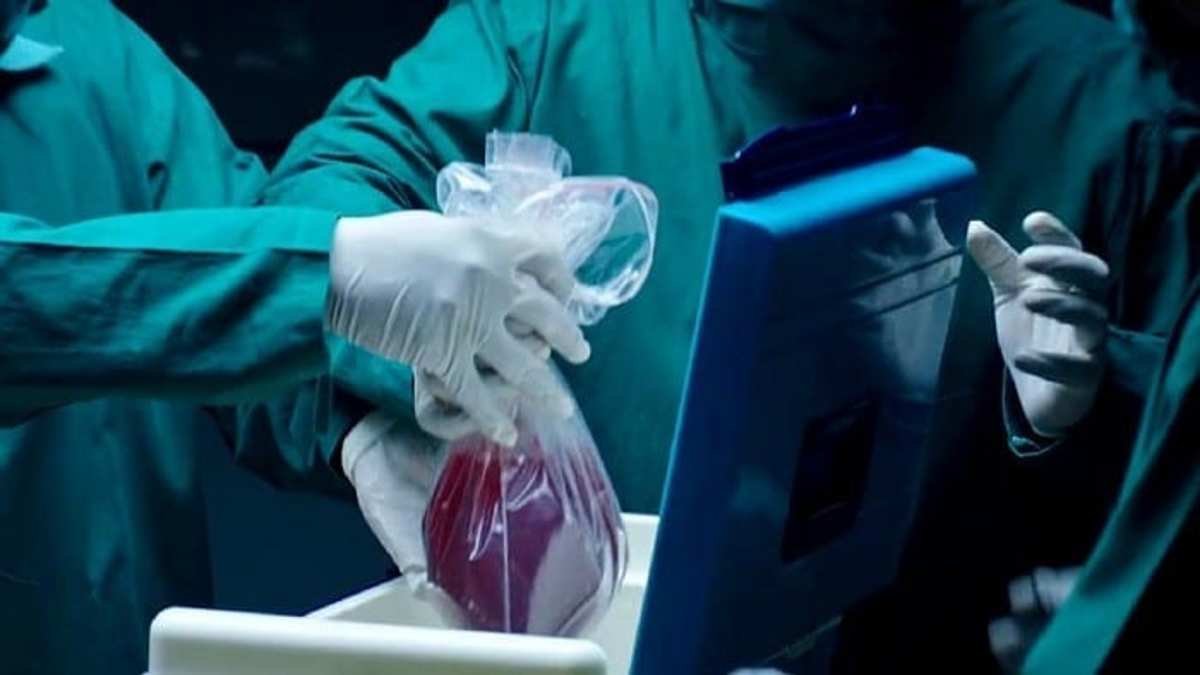 Изъятие органов у живого. Трансплантация органов и тканей. Трансплантация органов и тканей человека.