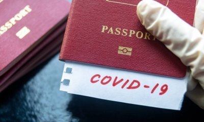 Иммунные паспорта будут у всех? Иммунные паспорта будут у всех?