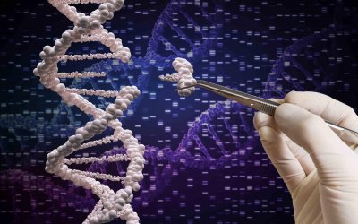 Технология изменения генов CRISPR-Cas9 непредсказуема