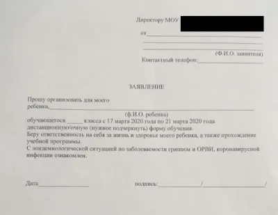 У противников дистанционного образования в школах могут изъять детей