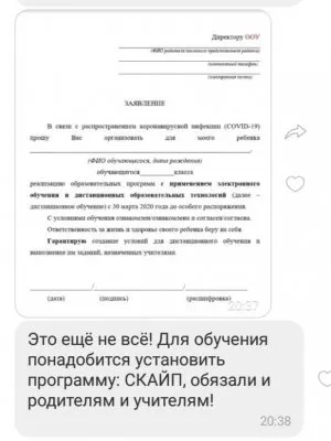 У противников дистанционного образования в школах могут изъять детей