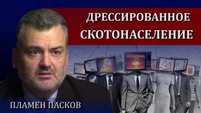 Дрессированное скотонаселение