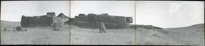 Истуканы острова Пасхи появились в 19 веке?