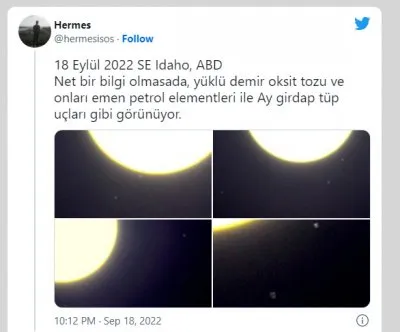 Подсолнухи перестали смотреть на солнце