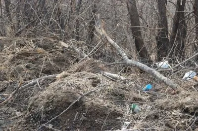 Дивный сад, которому обязательно быть