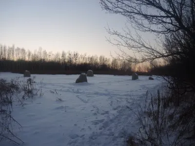 Дивный сад, которому обязательно быть