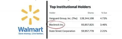 Длинная тень BlackRock