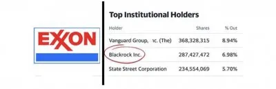 Длинная тень BlackRock
