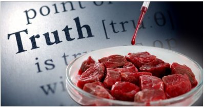 «Кровавая» правда о выращенном в лаборатории мясе