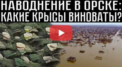 Наводнение в Орске: какие крысы виноваты